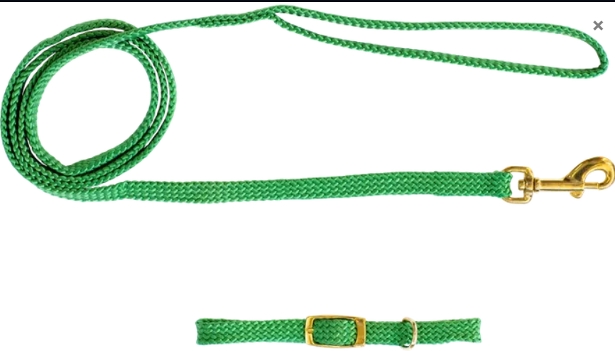 Beau Pets – Puppy – Collar & Lead Set – Nylon