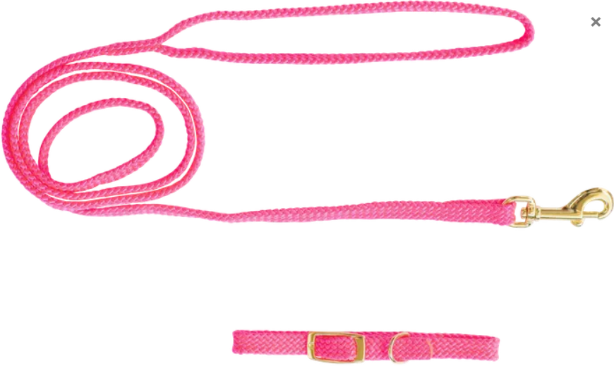 Beau Pets – Puppy – Collar & Lead Set – Nylon