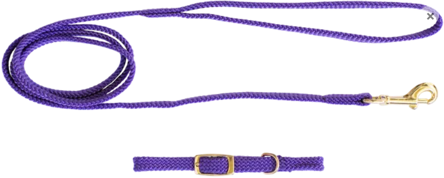 Beau Pets – Puppy – Collar & Lead Set – Nylon