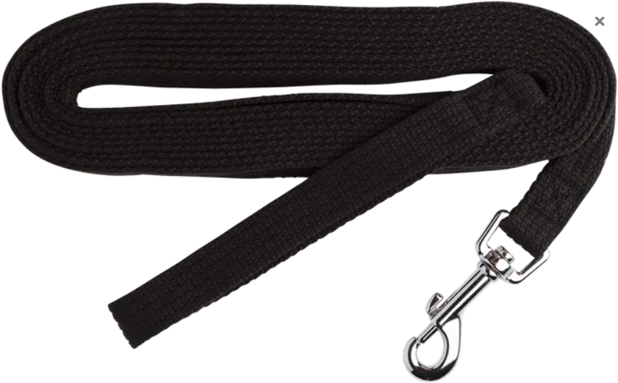 Beau Pets – Cotton Webbing Lead's
