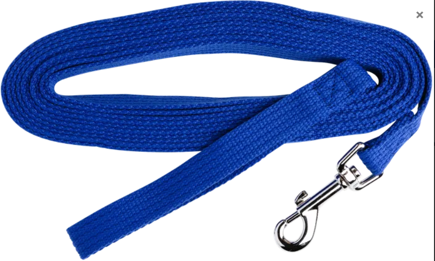 Beau Pets – Cotton Webbing Lead's