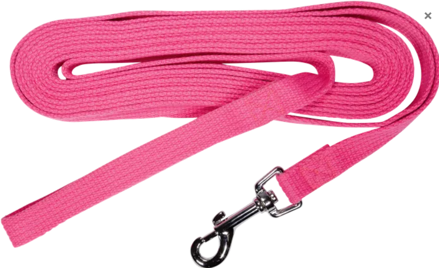 Beau Pets – Cotton Webbing Lead's