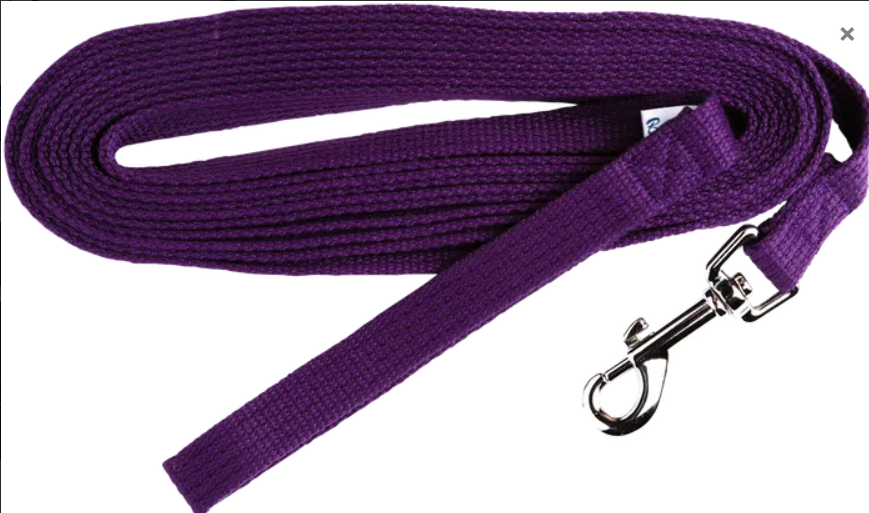 Beau Pets – Cotton Webbing Lead's