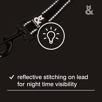 Rufus & Coco Shock Ease Lead