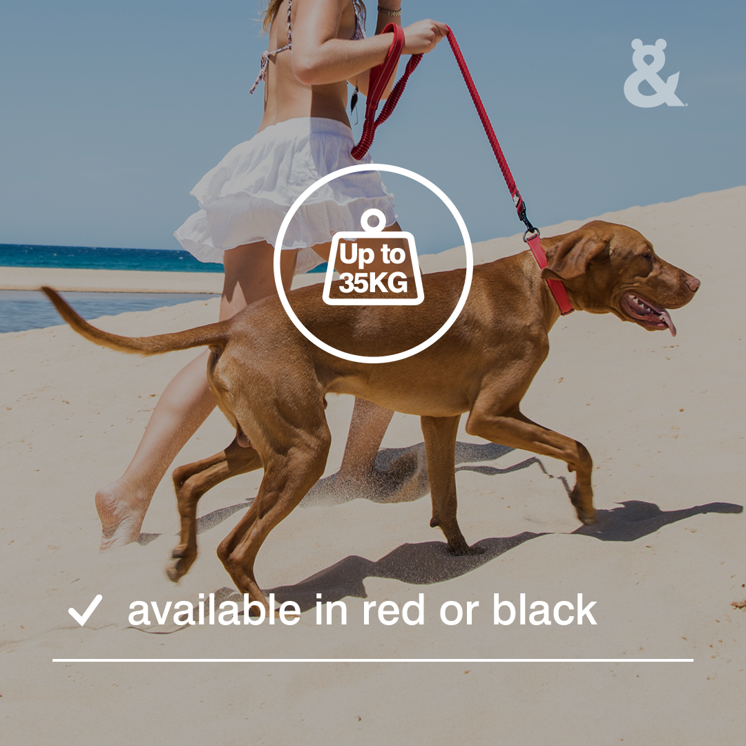 Rufus & Coco Shock Ease Lead