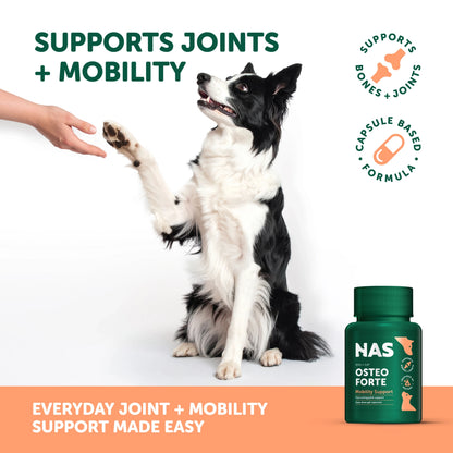 Natural Animal Solutions - OsteoForte - 60 capsules