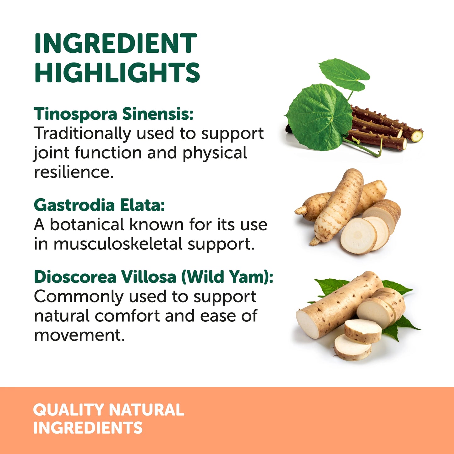 Natural Animal Solutions - OsteoForte - 60 capsules
