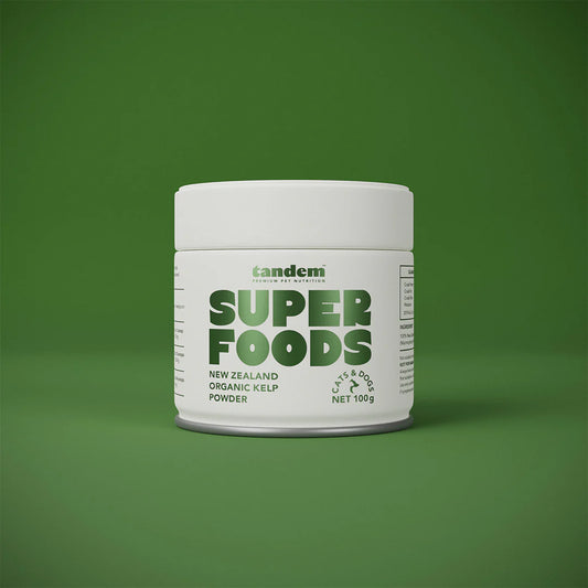 Tandem – Super Foods – New Zealand Organic Kelp Powder