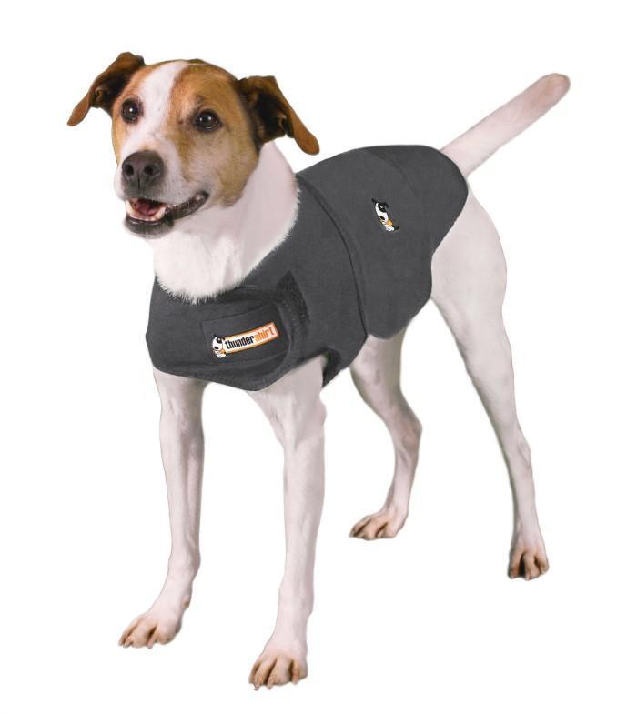 Thundershirt For Dogs
