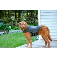 Thundershirt For Dogs