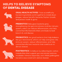 Bell & Bone Dog Dental Topper Salmon 30ml