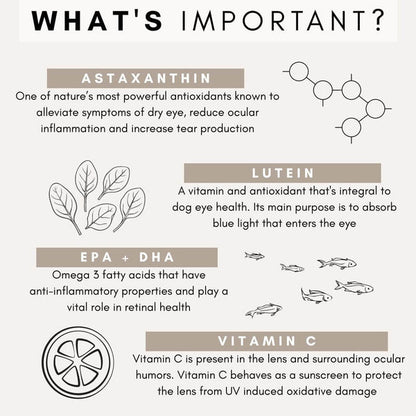 PetzPark – Eye Support – For Dogs