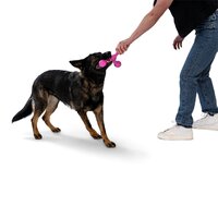 West Paw Skamp Flyer-Inspired Fetch Dog Toy