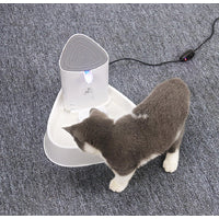 All Fur You Seashell Water Fountain