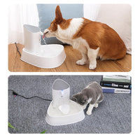 All Fur You Seashell Water Fountain