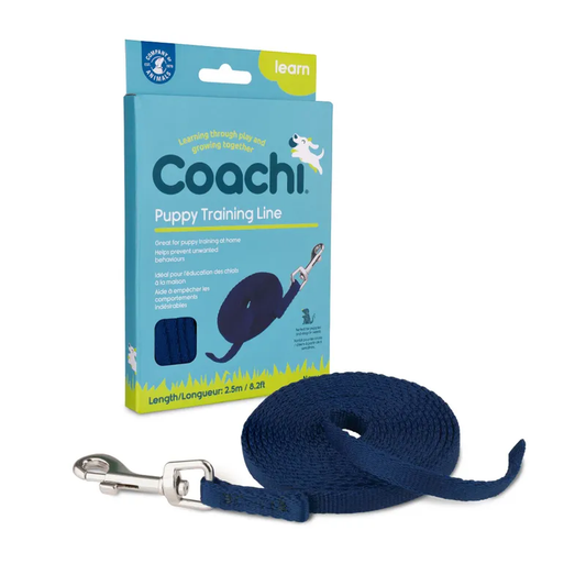 Coachi Puppy Training Line Navy 2.5M