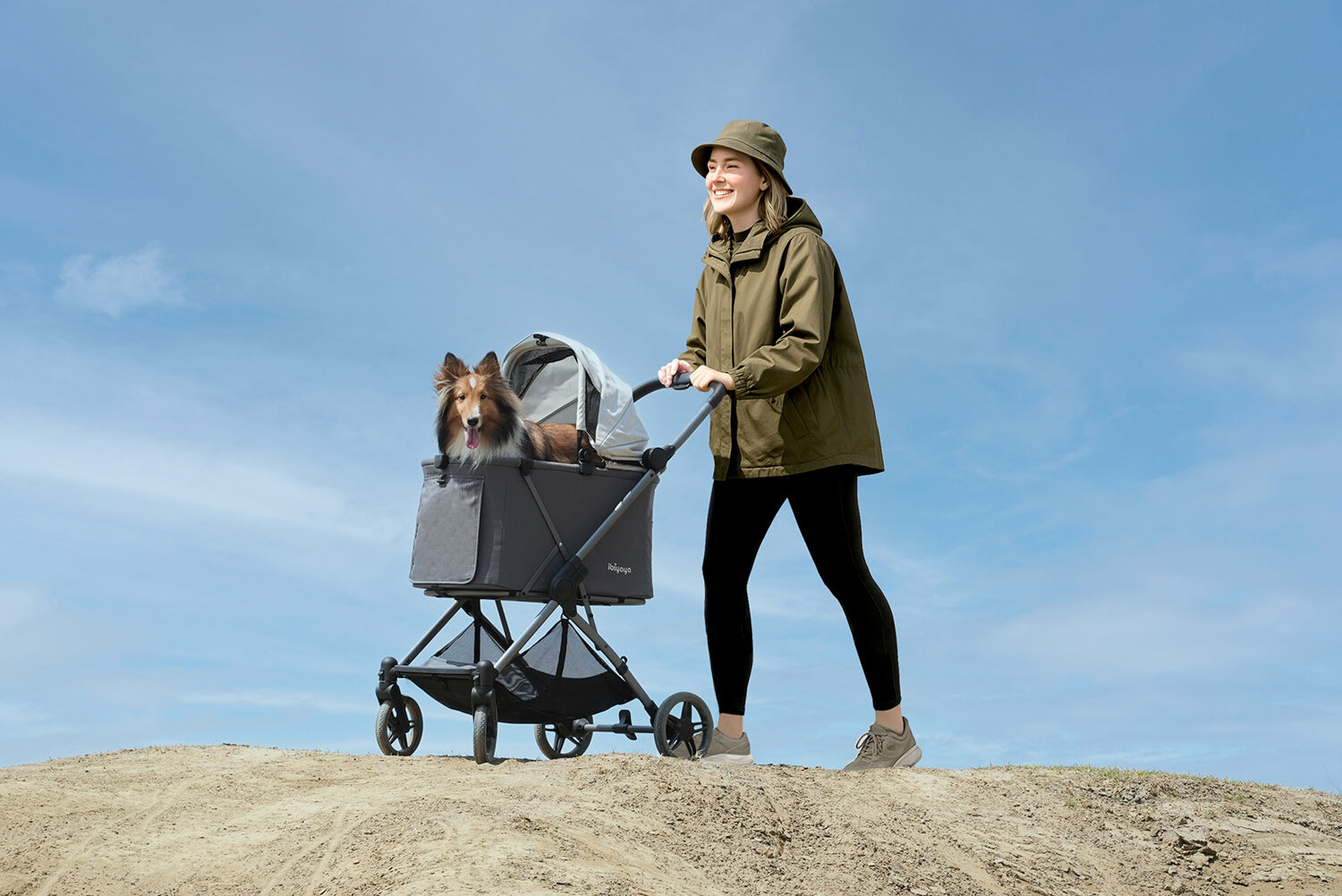 Ibiyaya Maxi Deep Carriage Pet Stroller - Forest Haze
