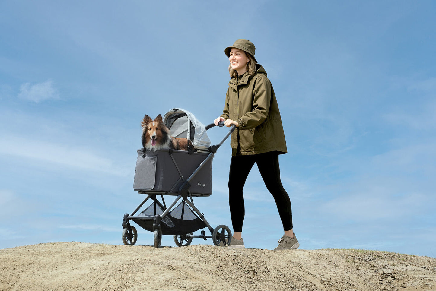Ibiyaya Maxi Deep Carriage Pet Stroller - Forest Haze