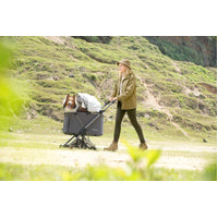 Ibiyaya Maxi Deep Carriage Pet Stroller - Forest Haze