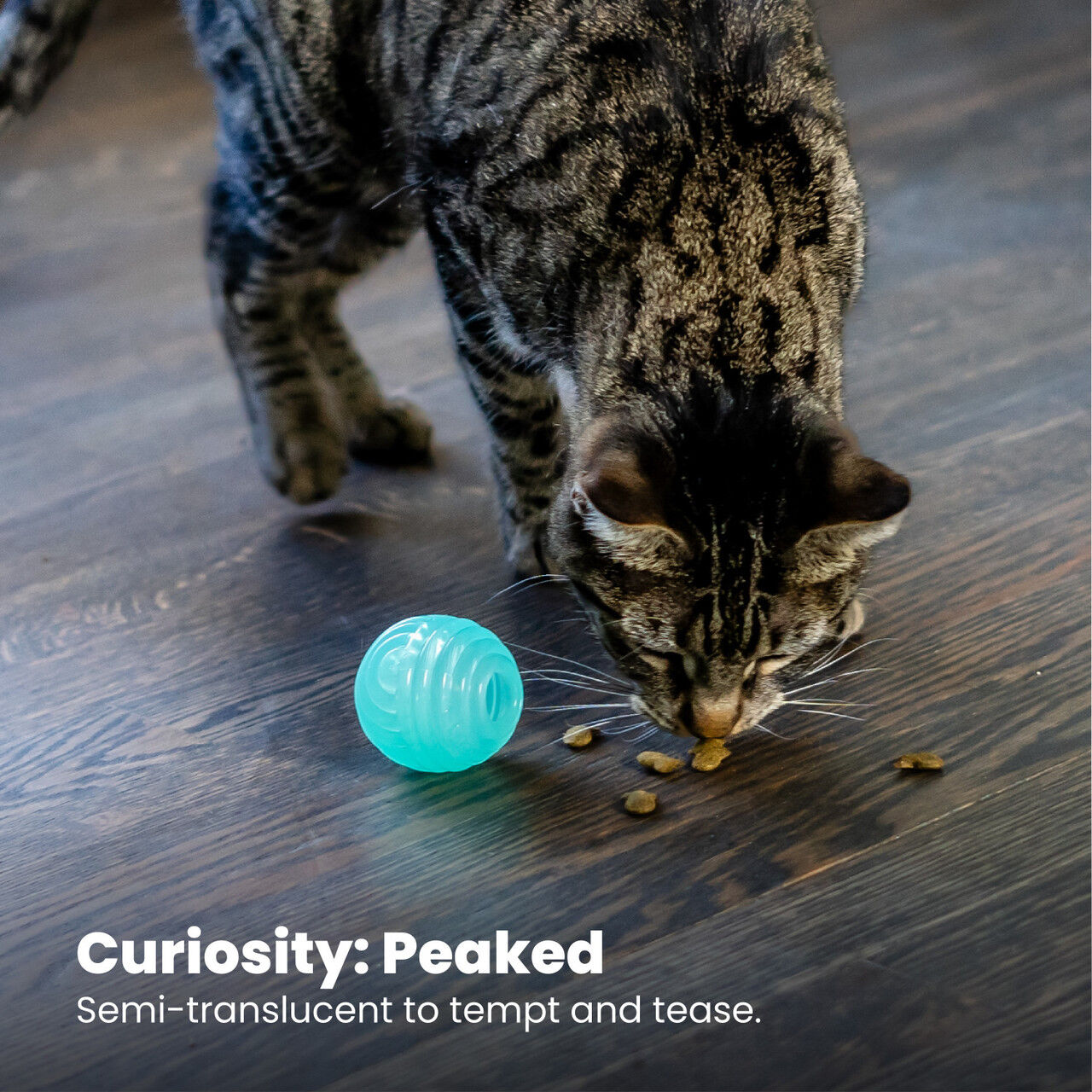 Catstages Ball Treat Stuffer