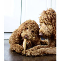 Petstages Puppy 2 Pack Tpe Dogwood Small