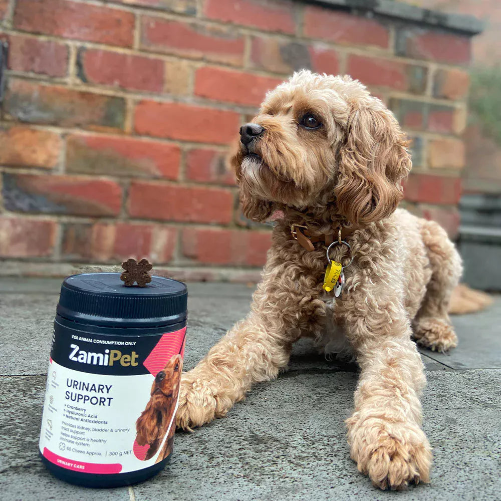 ZamiPet – Urinary Support
