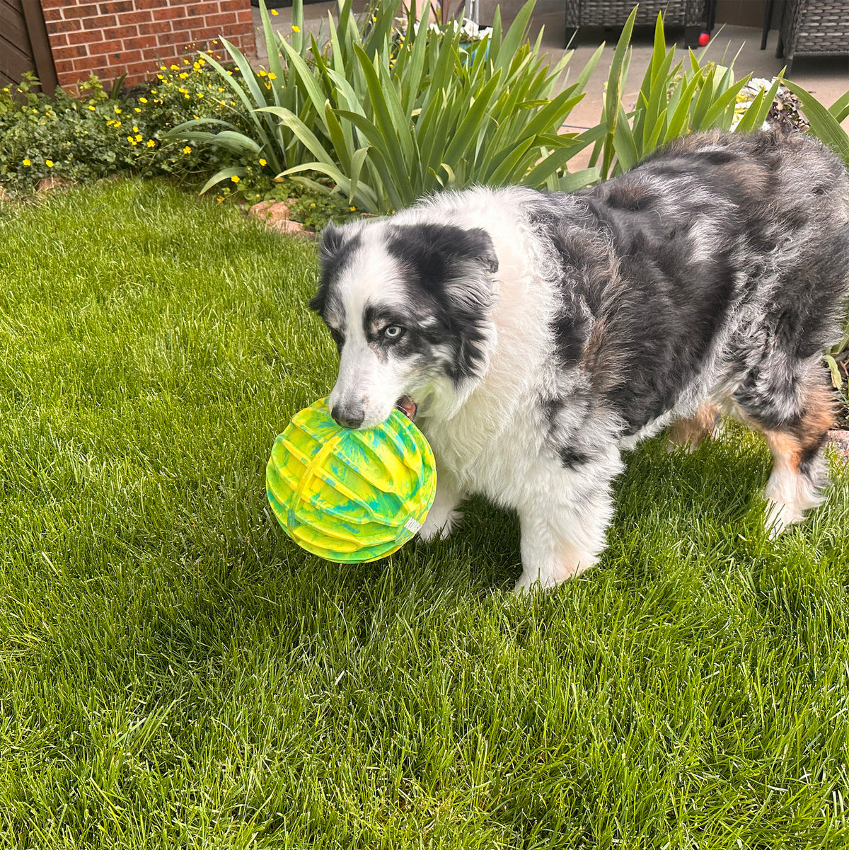 KONG  FLEXBALL SPORT BALL XL