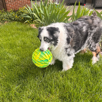 KONG  FLEXBALL SPORT BALL XL