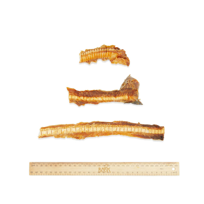 Bark & Beyond – Shark Cartilage