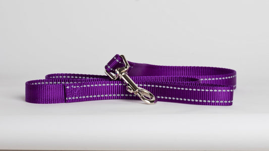 Beau Pets – Reflective Nylon – Lead – Purple