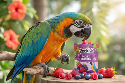 bird with Peckish – Large Parrot Treats – Mixed Berries