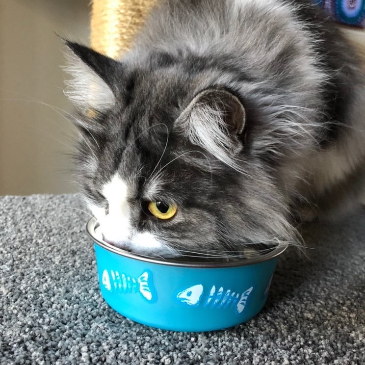 Loving Pets Cat Bella Bowls Fish- X-Small