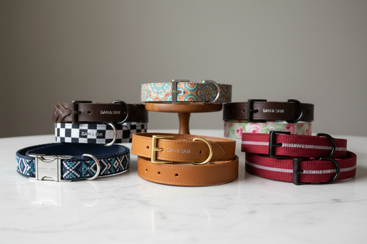 collection of Dan & Sam – Dog Collar 