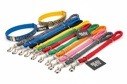 Create a picture of Beau Pets leads and collars