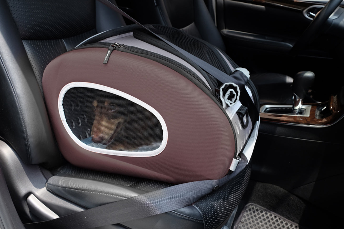 5-In-1 Combo Eva Pet Carrier/Stroller - by Ibiyaya