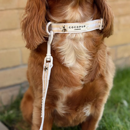 Cocopup London – Dog Collar – Honey Meadow