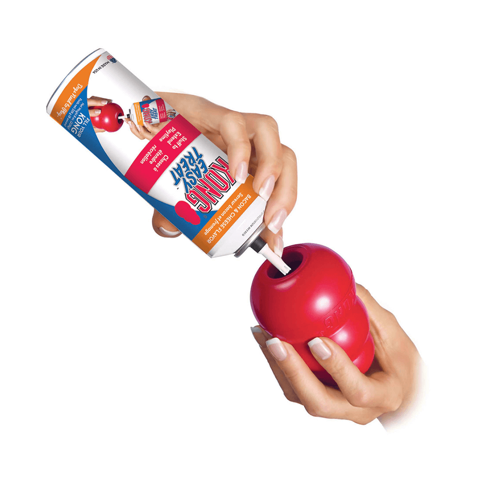 KONG - Easy Treat Paste
