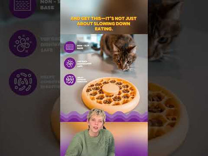 Catstages Cat Slow Feeder