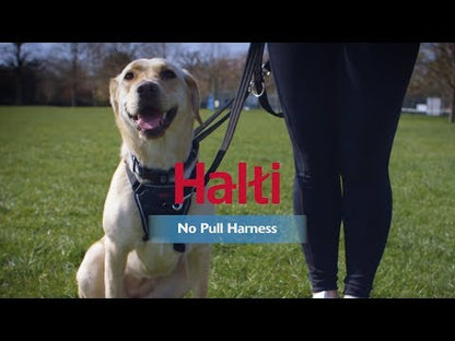 Company of Animals – Halti – Headcollar