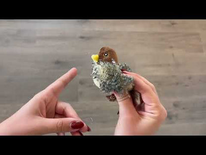 GiGwi – Melody Chaser – Bird