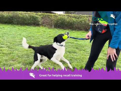 Coachi Fetch & Reward Navy & Lime