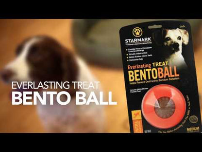 Starmark – Everlasting Bento Ball