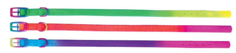 Beau Pets – Puppy – Collar – Rainbow