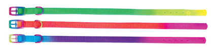 Beau Pets – Puppy – Collar – Rainbow