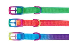 Beau Pets – Puppy – Collar – Rainbow