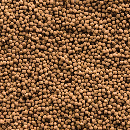 Sera – Goldfish Granules