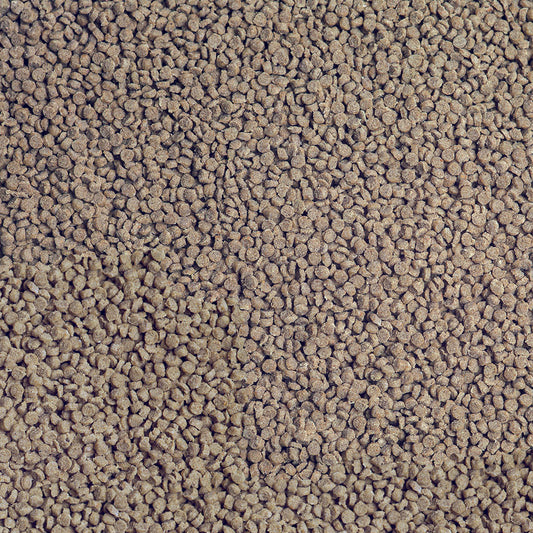 Sera – Cichlid Tanganyika Granules