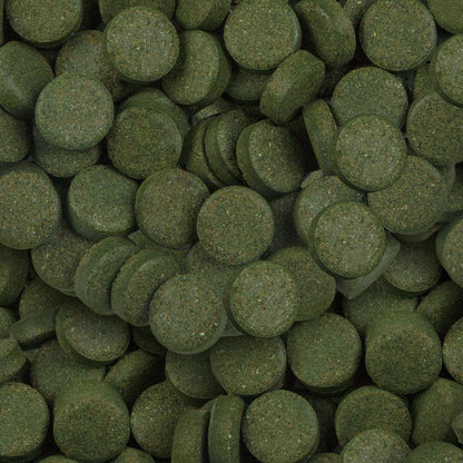 Sera – Spirulina Tabs