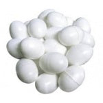 Australian Pet Supplies – Dummy Eggs