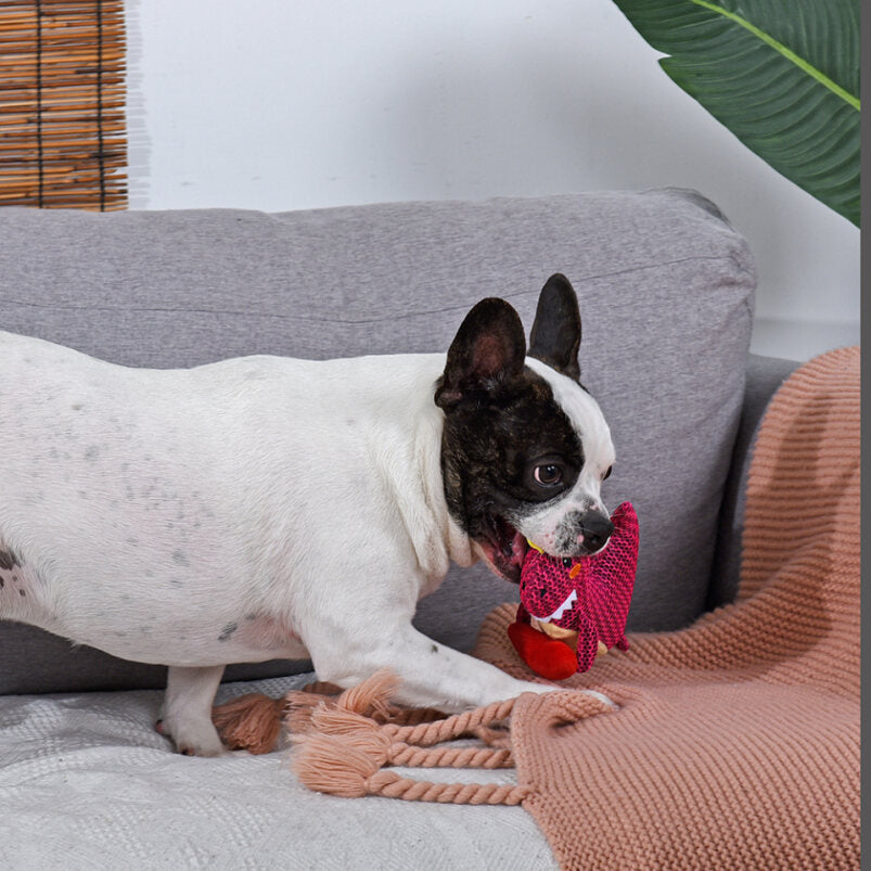 Hugsmart – Dinosaur Land – Rexy